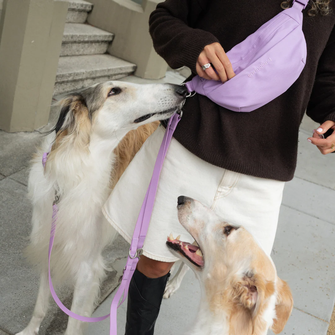 Hands-Free Dog Walking Bag with 4ft Leash - Image 20