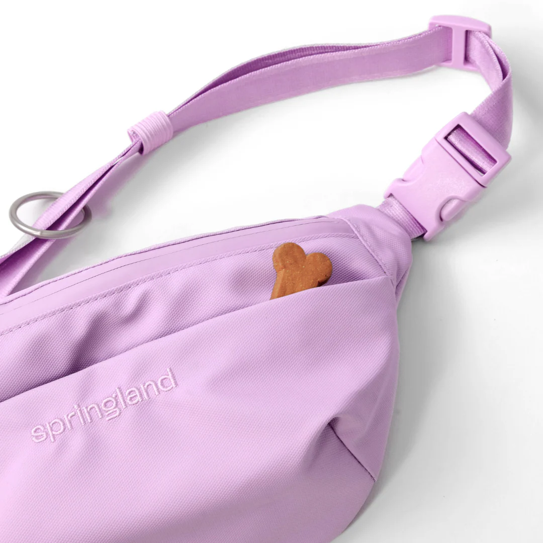 Hands-Free Dog Walking Bag with 4ft Leash - Image 22