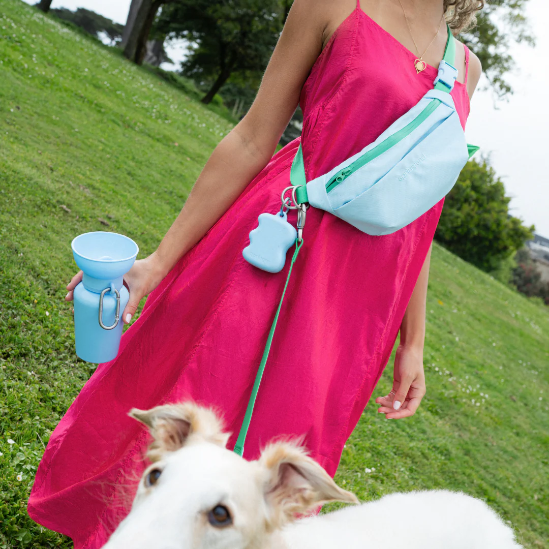 Hands-Free Dog Walking Bag with 4ft Leash - Image 6