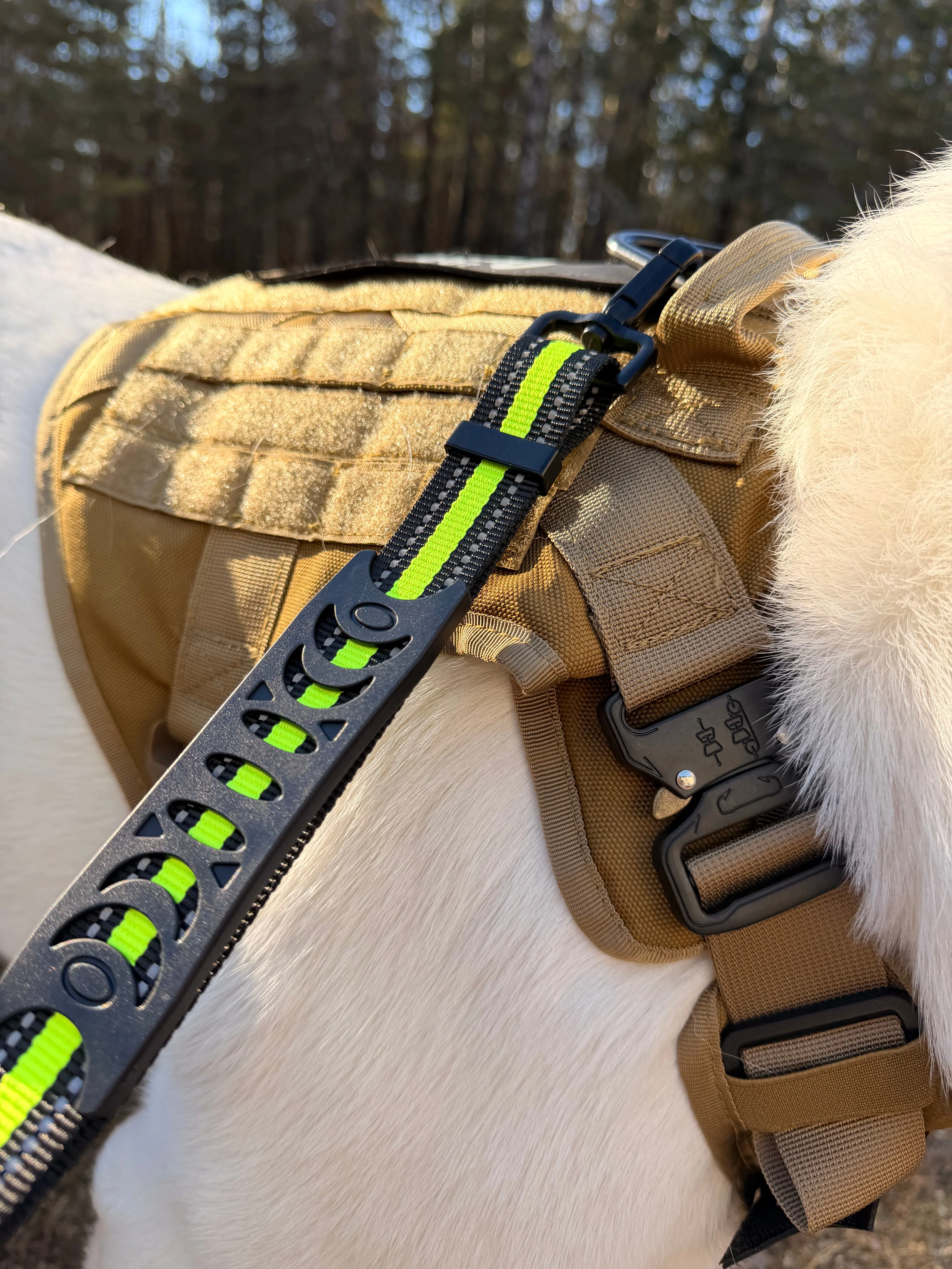 Hands-Free Running/Hiking Bungee Leash - Image 10