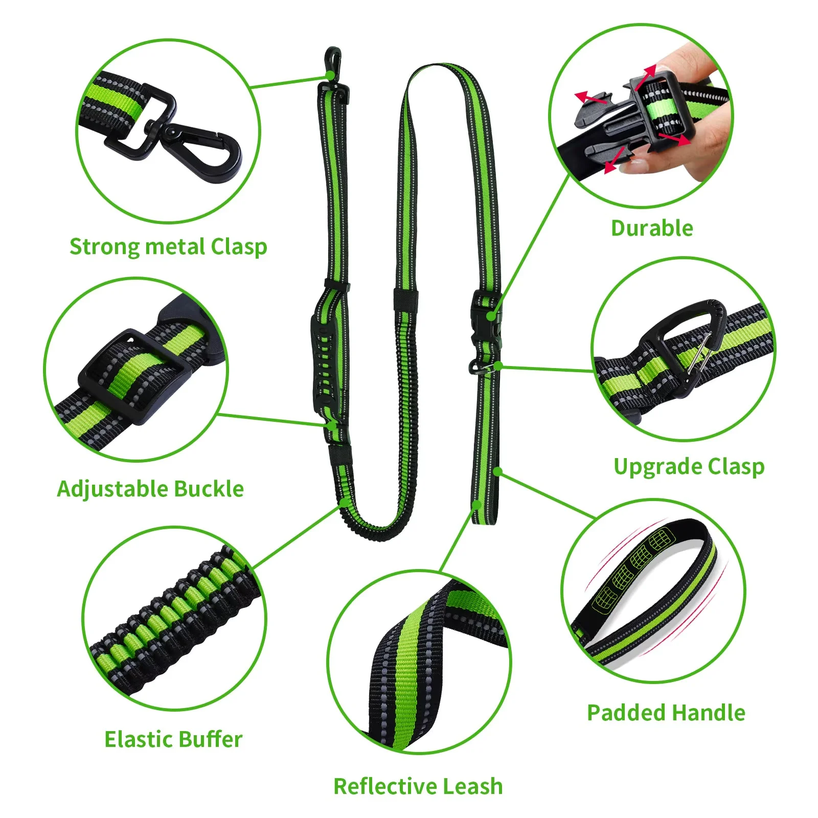 Hands-Free Running/Hiking Bungee Leash - Image 2