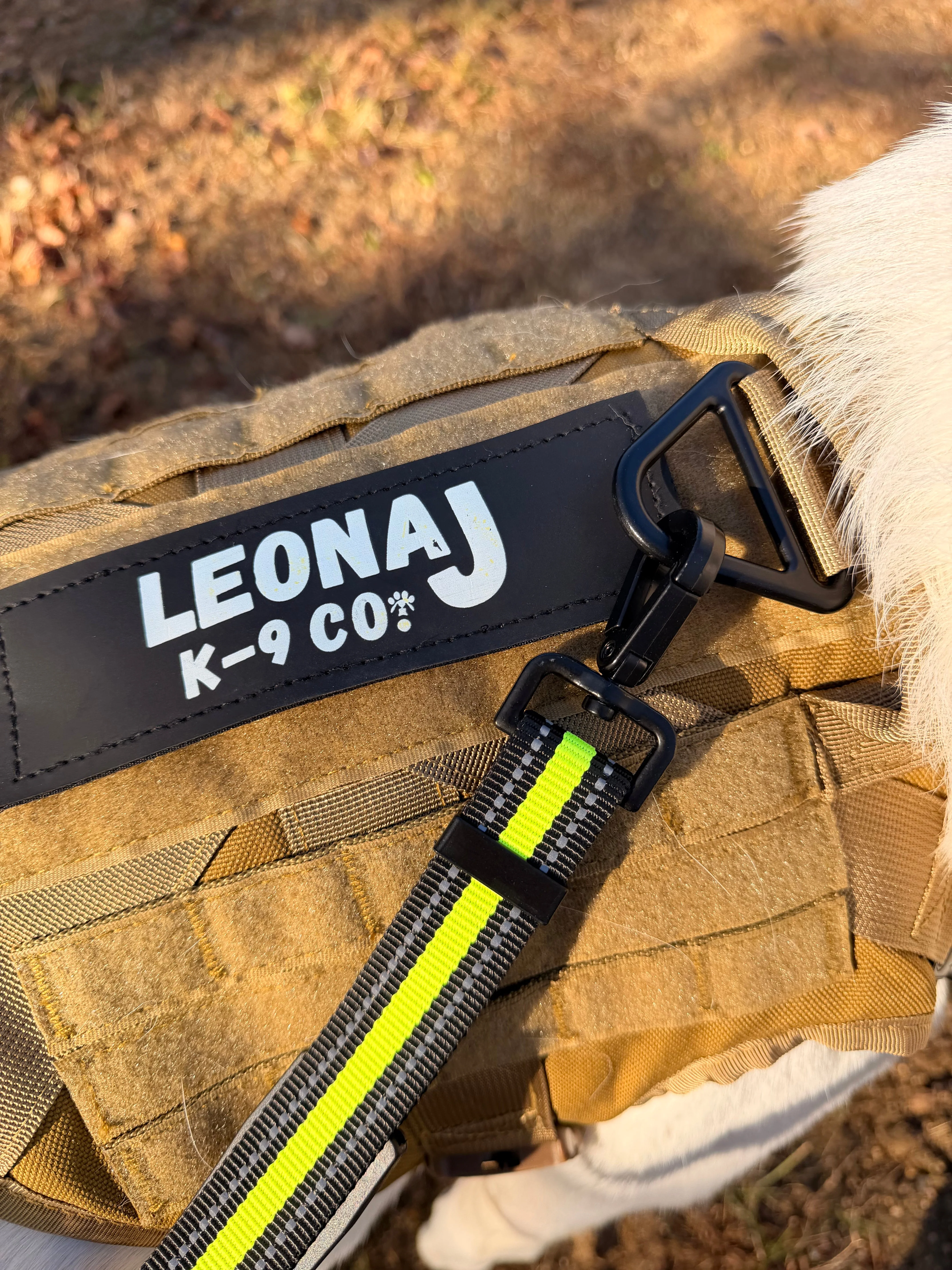 Hands-Free Running/Hiking Bungee Leash - Image 9