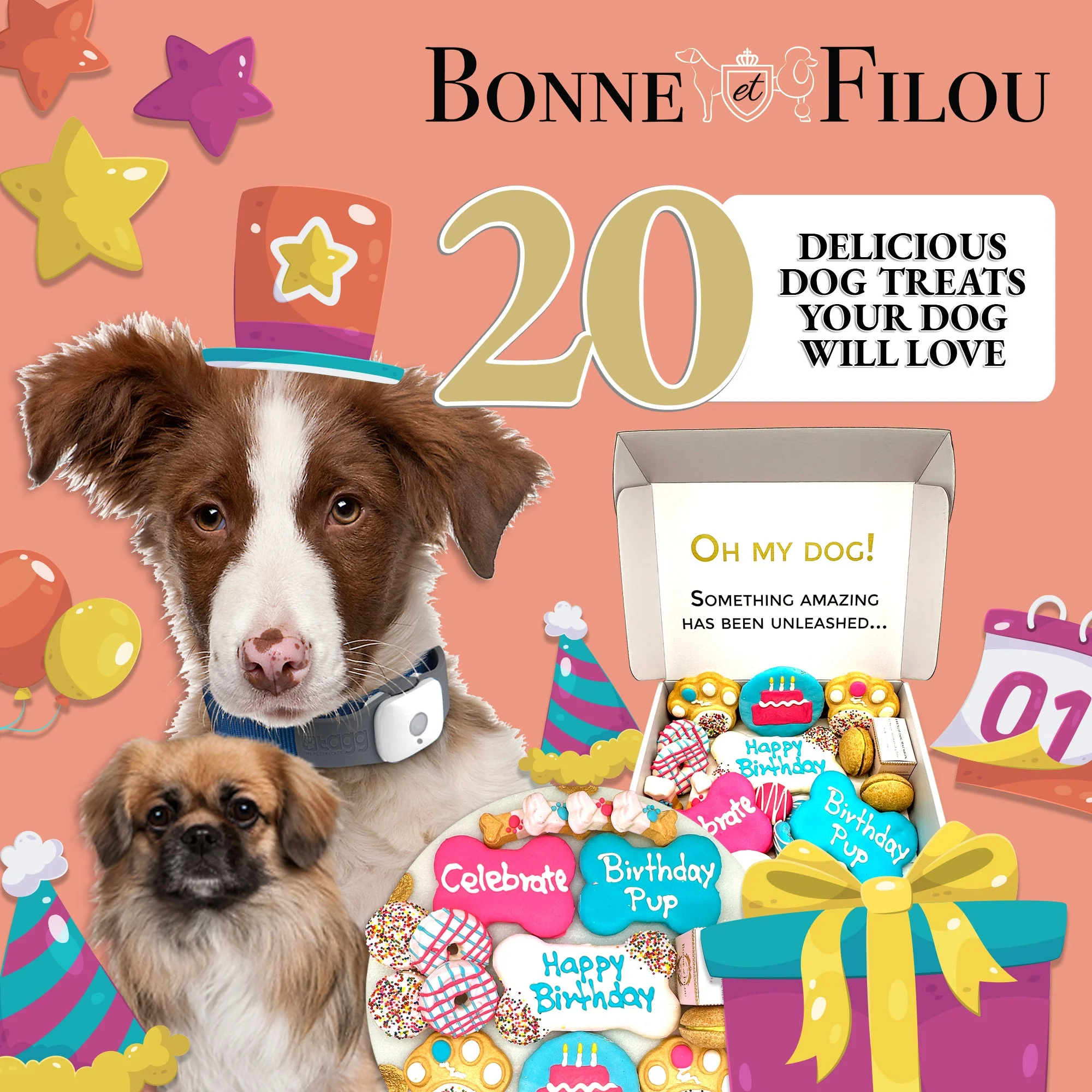 Happy Birthday Dog Treats Gift Box - Image 6