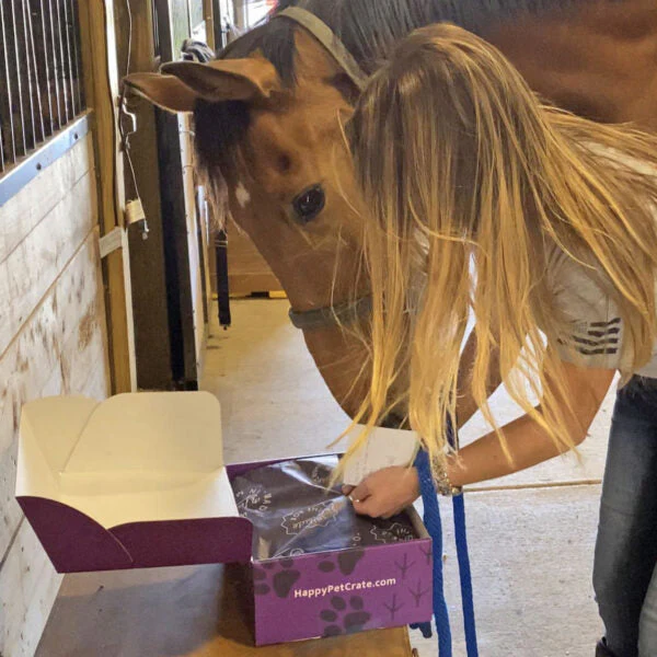 Happy Horse Gift Box - Image 7