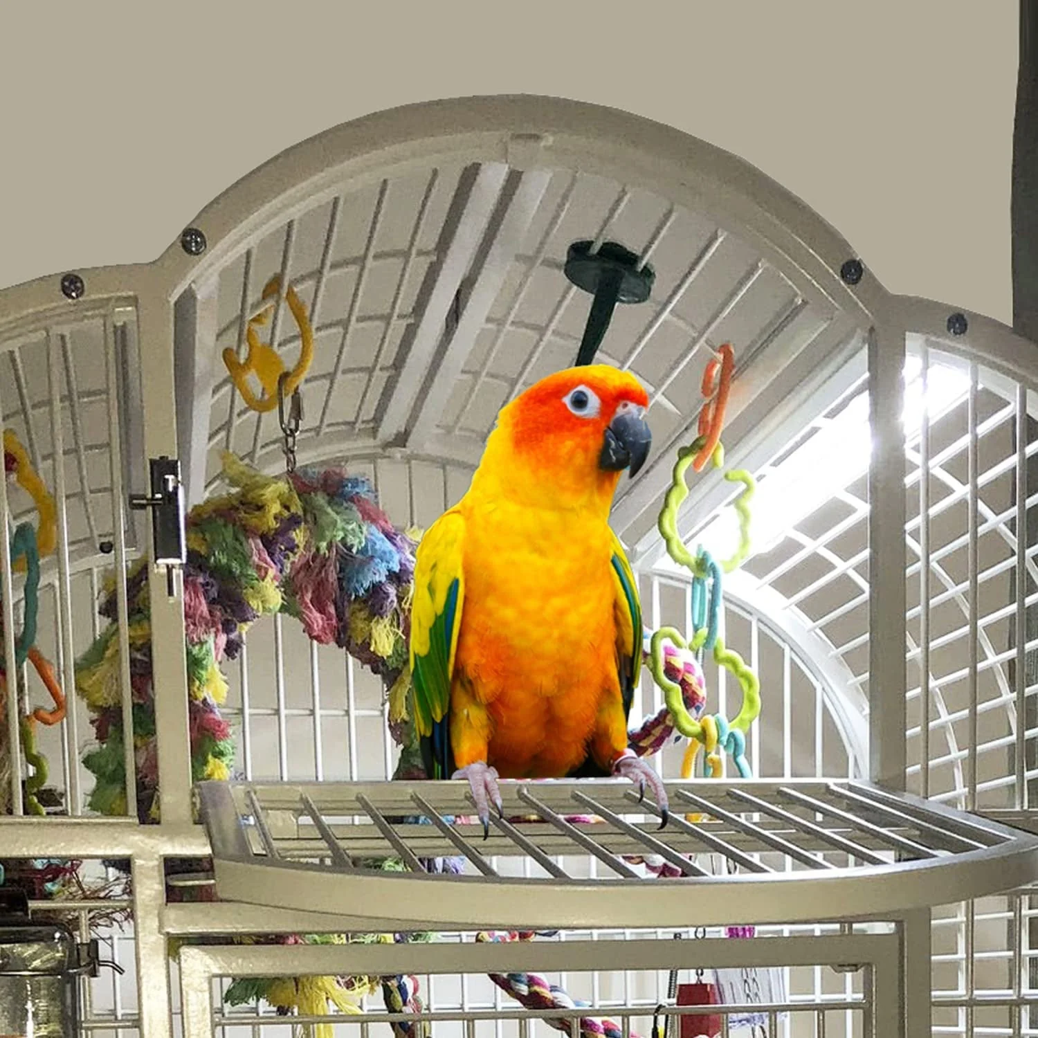 Happybird Lighting Bird Cage Light with Chew Guard - Image 8
