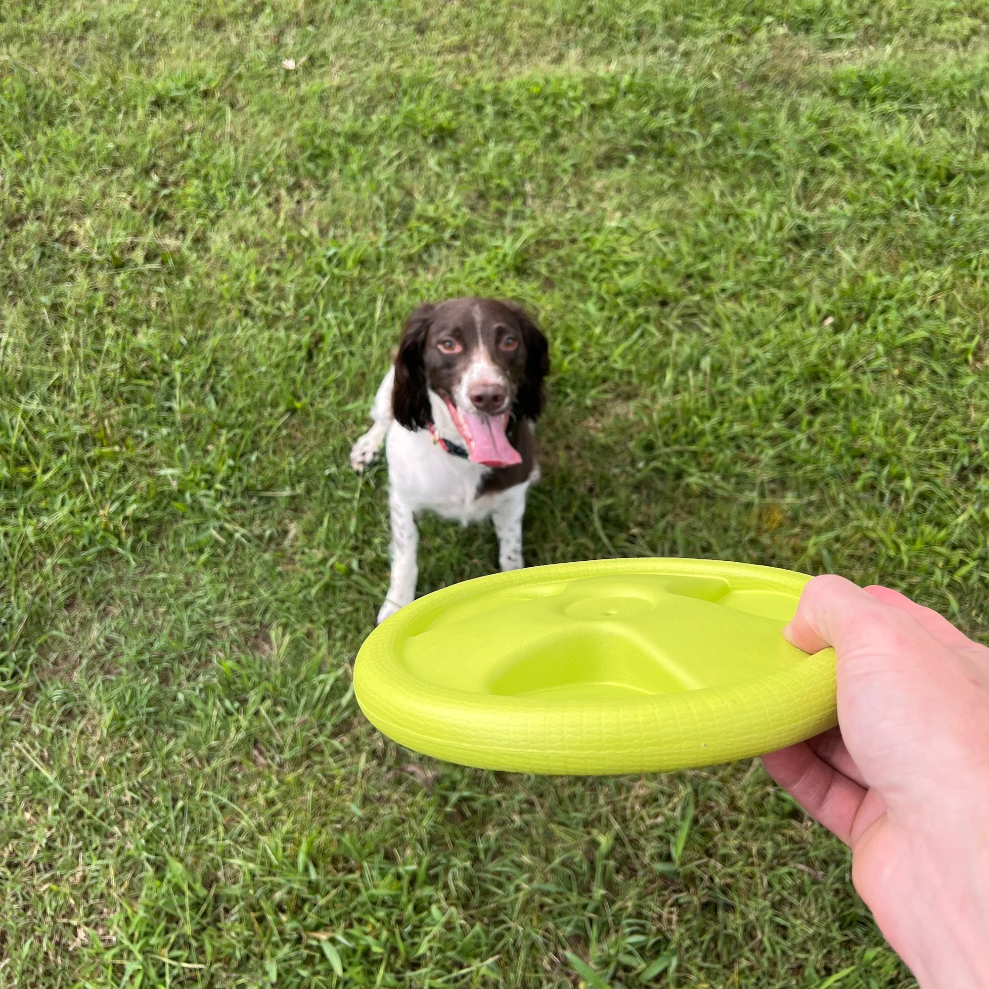 Harley Flyer Frisbee - Image 3