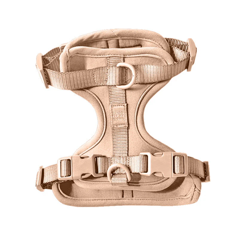 Harness - Image 15