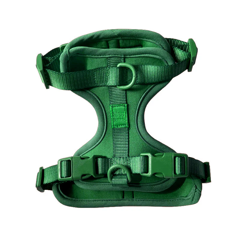 Harness - Image 17