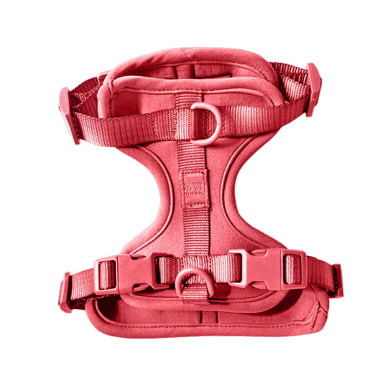 Harness - Image 19