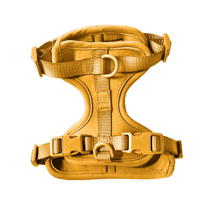 Harness - Image 21