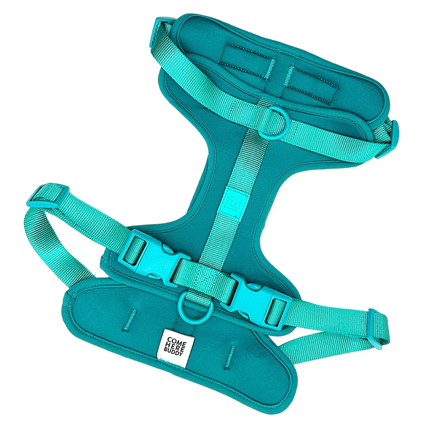 Harness - Image 31