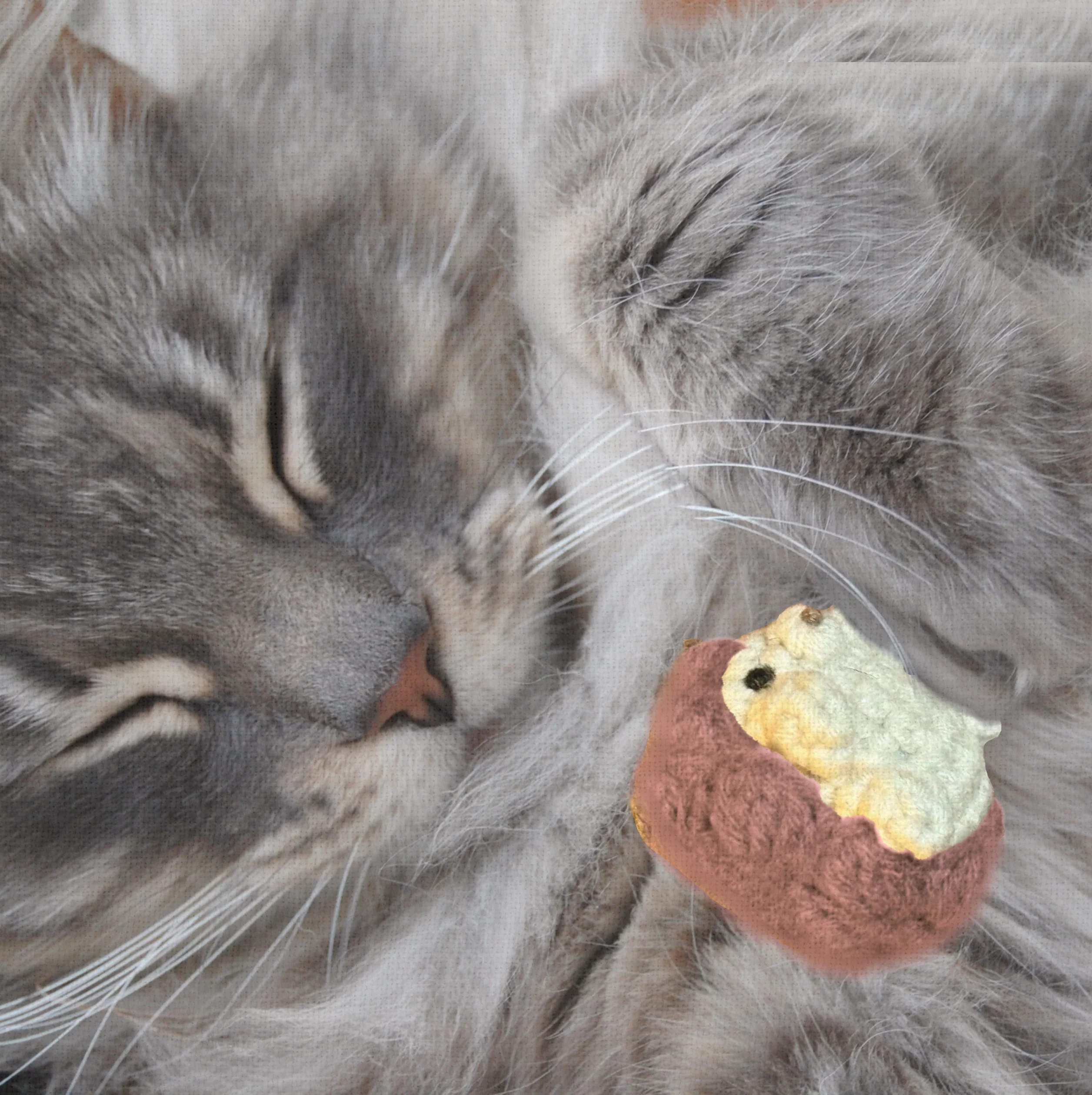 Harold the hedgehog | lightweight cat toy - Image 7