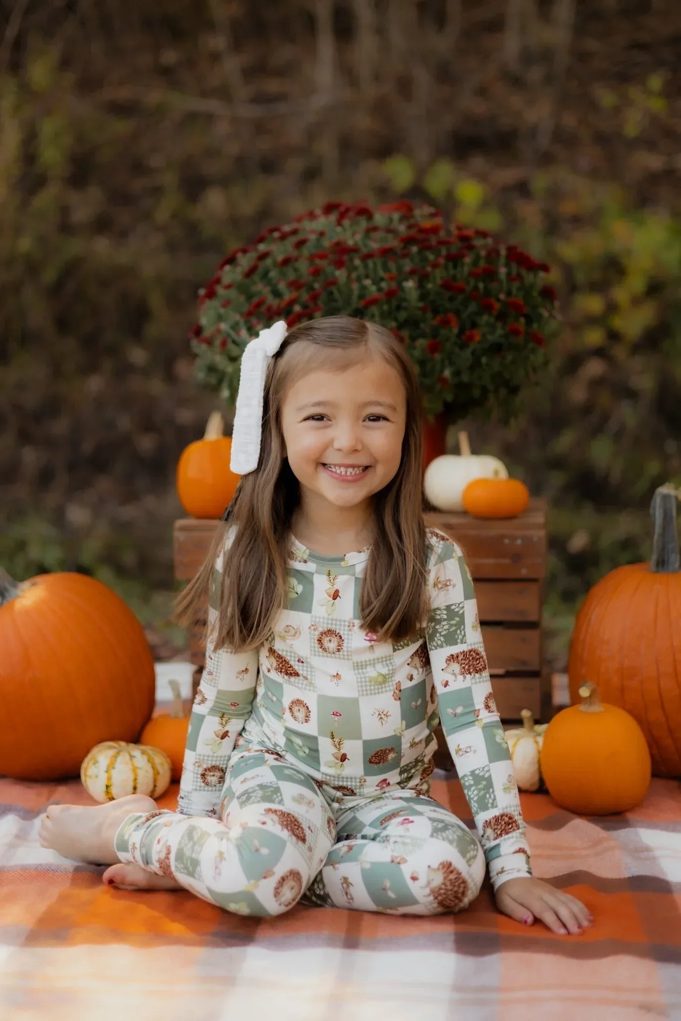 Harvest Hedgehogs 2pc Bamboo Pajamas - Image 5