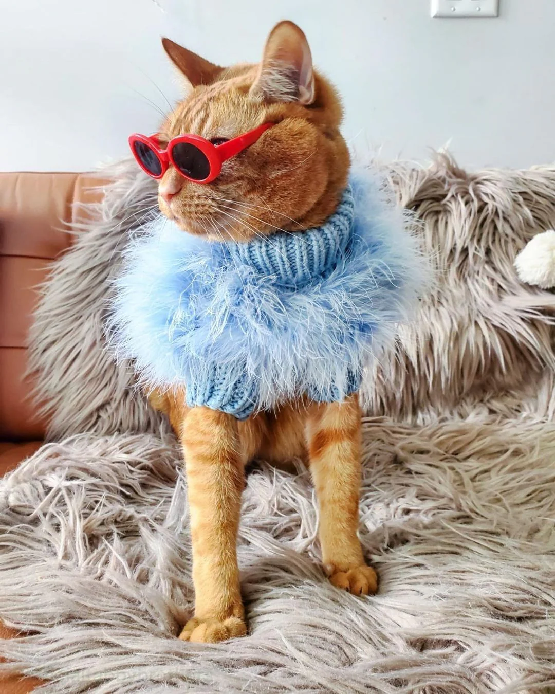Haute Couture Feathered Luxury Pet Sweater - Image 16