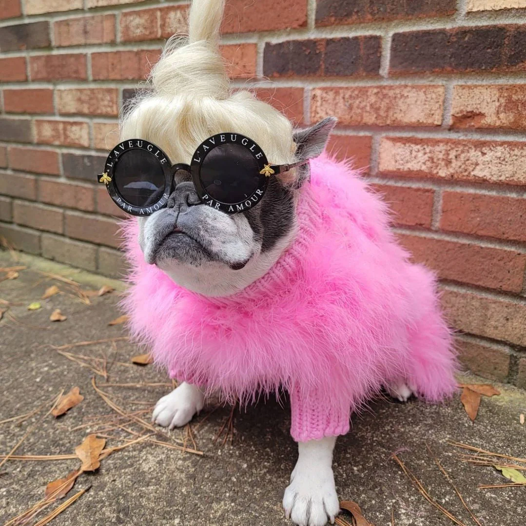 Haute Couture Feathered Luxury Pet Sweater - Image 18