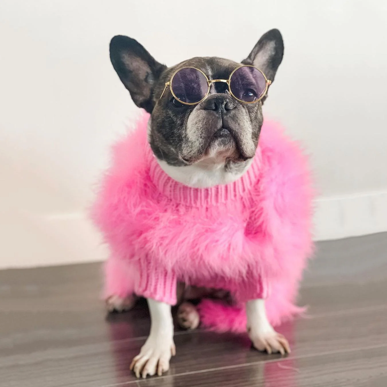 Haute Couture Feathered Luxury Pet Sweater - Image 2