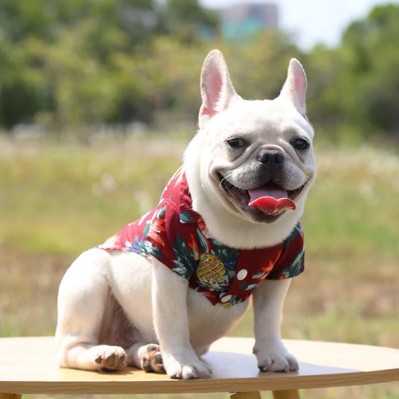 Hawaiian Pet Shirts - Image 23