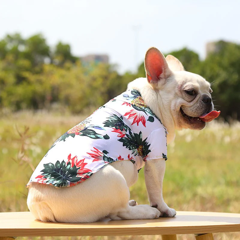 Hawaiian Pet Shirts - Image 25