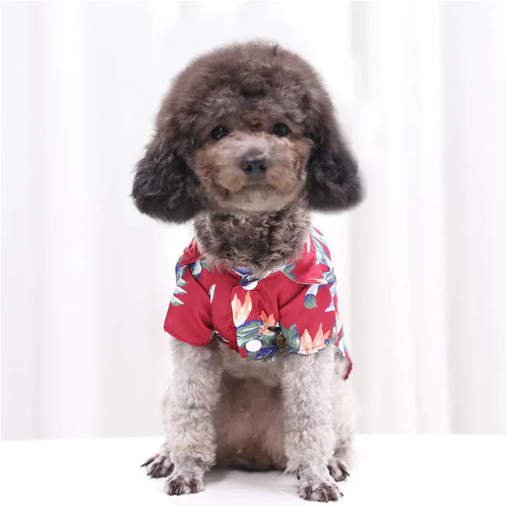 Hawaiian Pet Shirts - Image 33