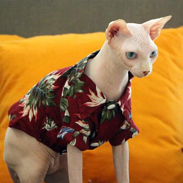 Hawaiian Pet Shirts - Image 35
