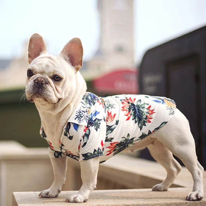 Hawaiian Pet Shirts - Image 36