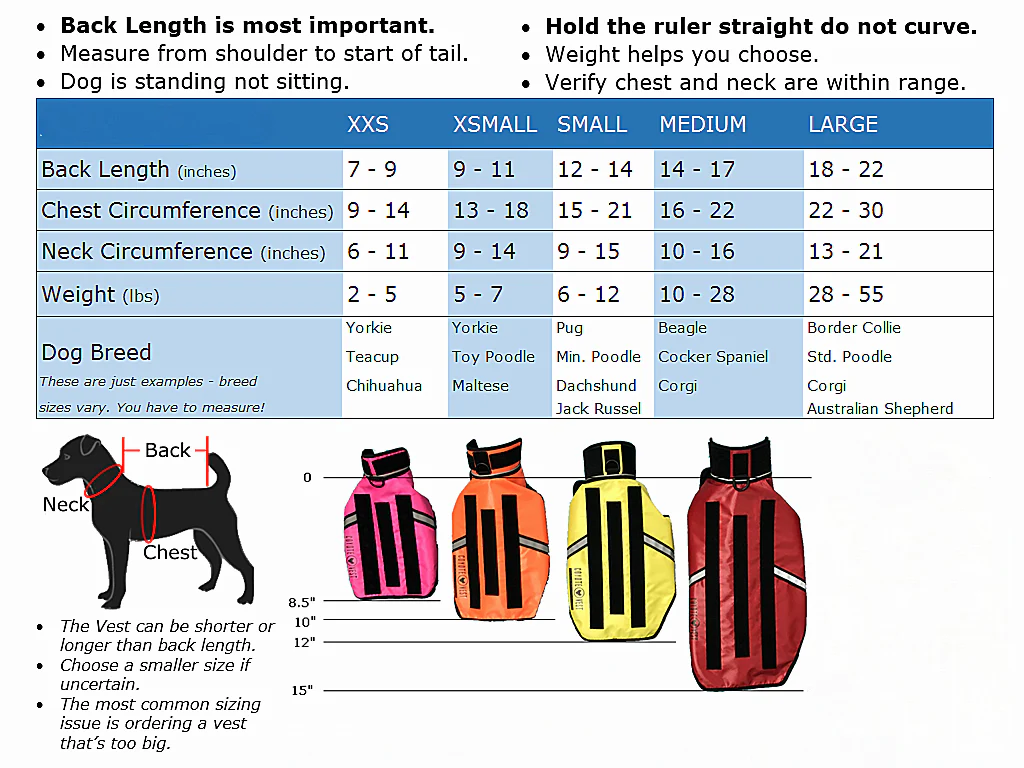 HawkVest - Image 5