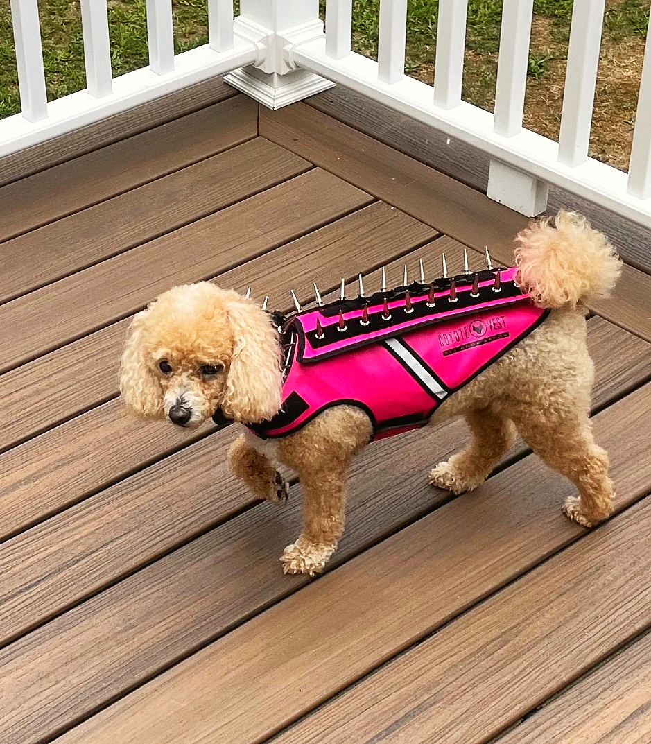 HawkVest - Image 6