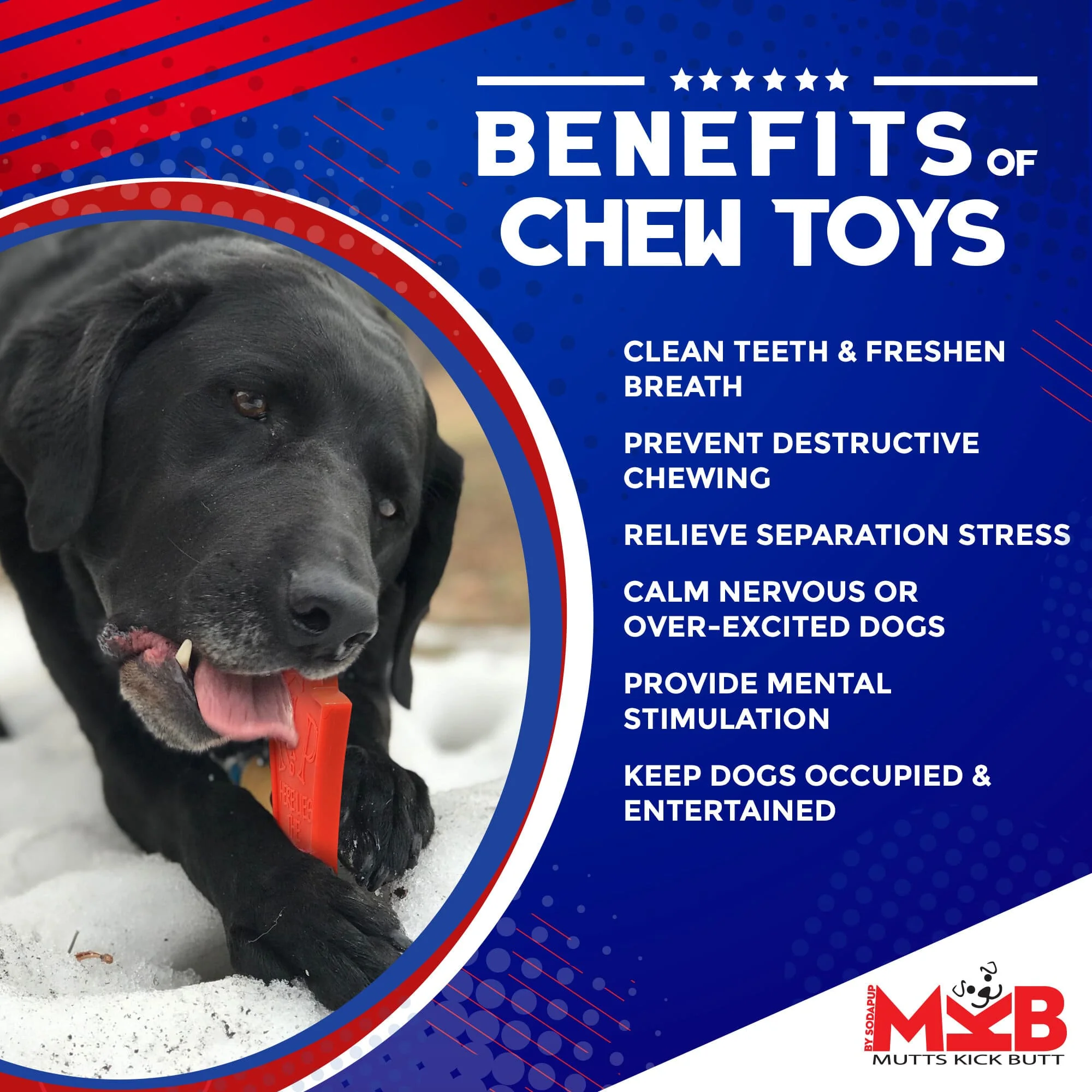Headstone Ultra Durable Nylon Dog Chew Toy - Image 3