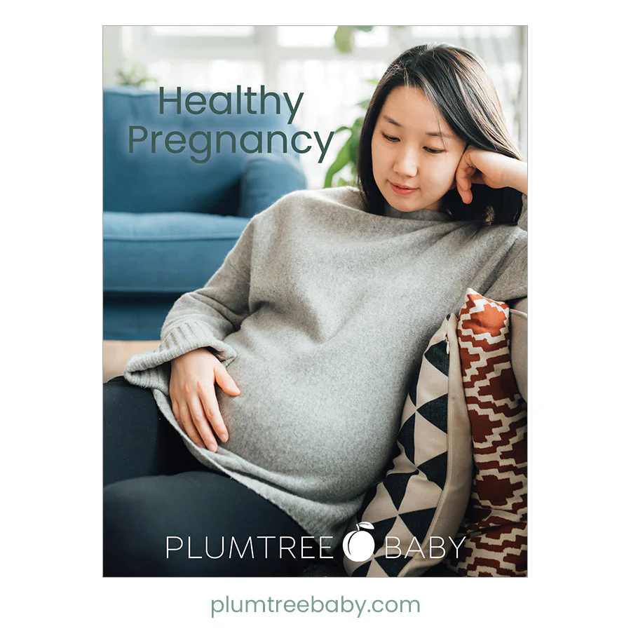 Healthy Pregnancy Booklet - Image 2