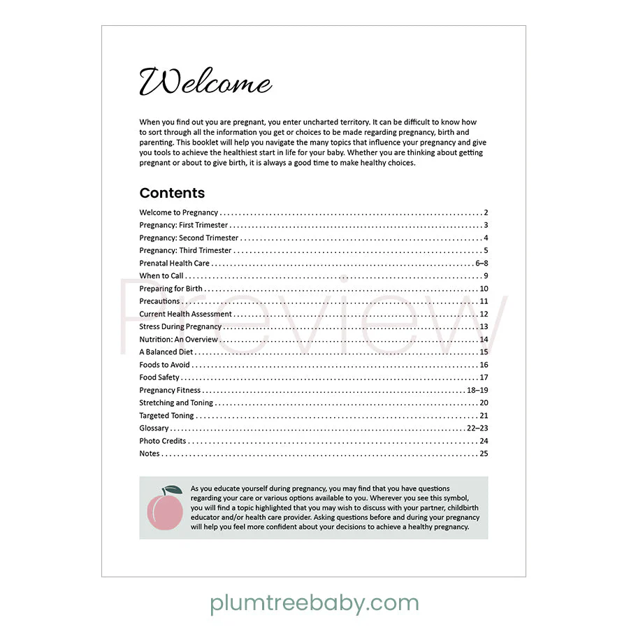 Healthy Pregnancy Booklet - Image 3