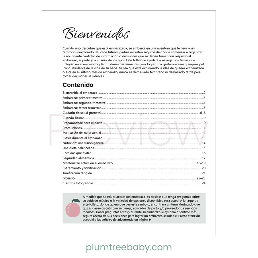 Healthy Pregnancy Booklet - Image 5