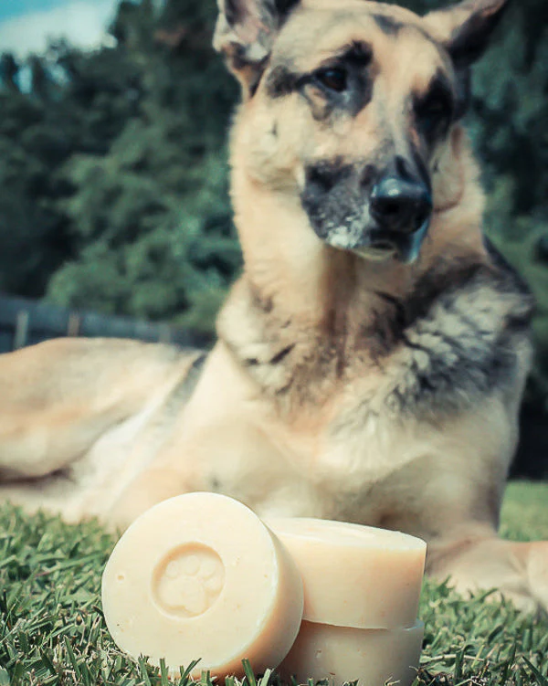 Healthy Pup Dog Shampoo - Image 2