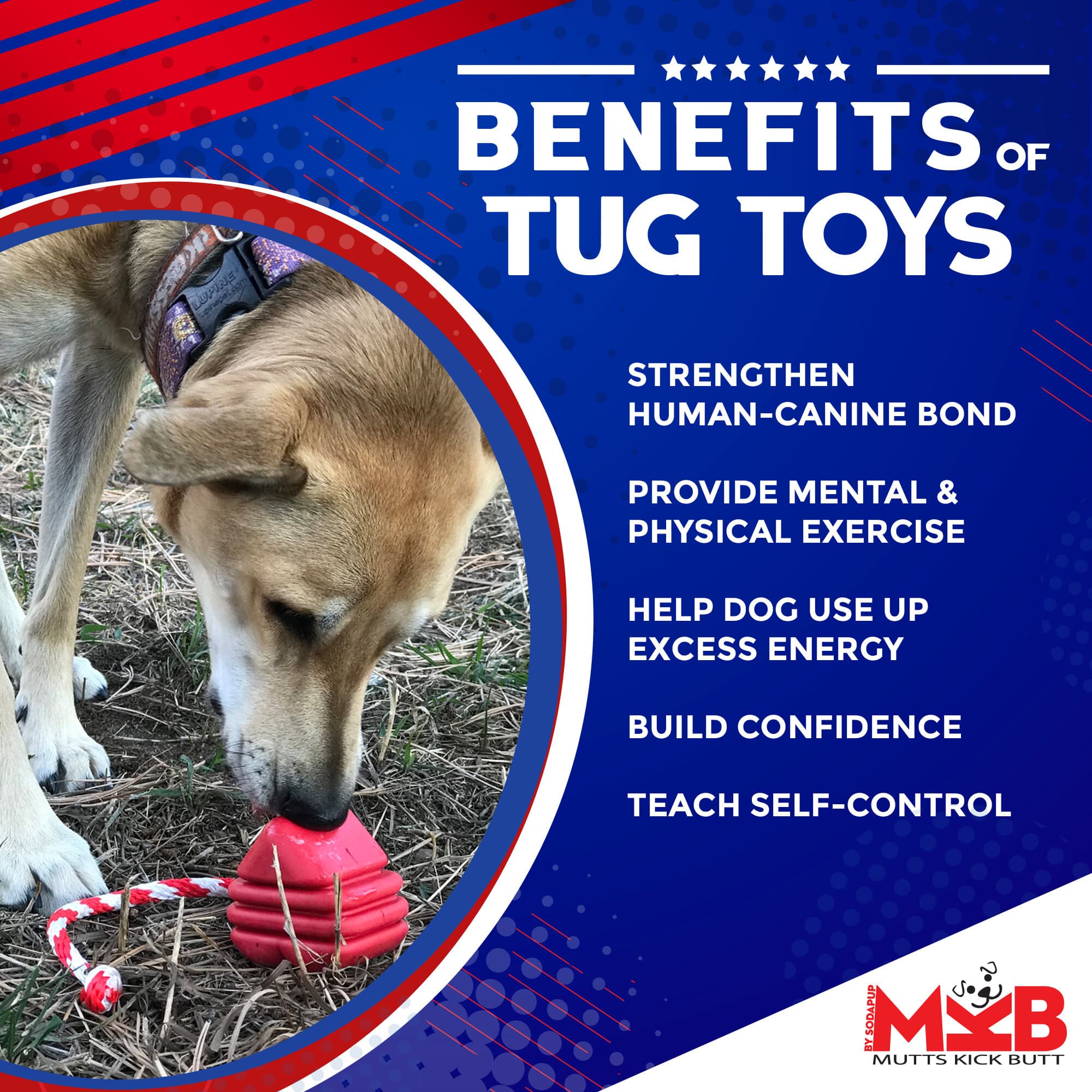 Heart on a String Dog Toy - Durable Rubber Tug Toy for Large Dogs | USA Made - Image 3