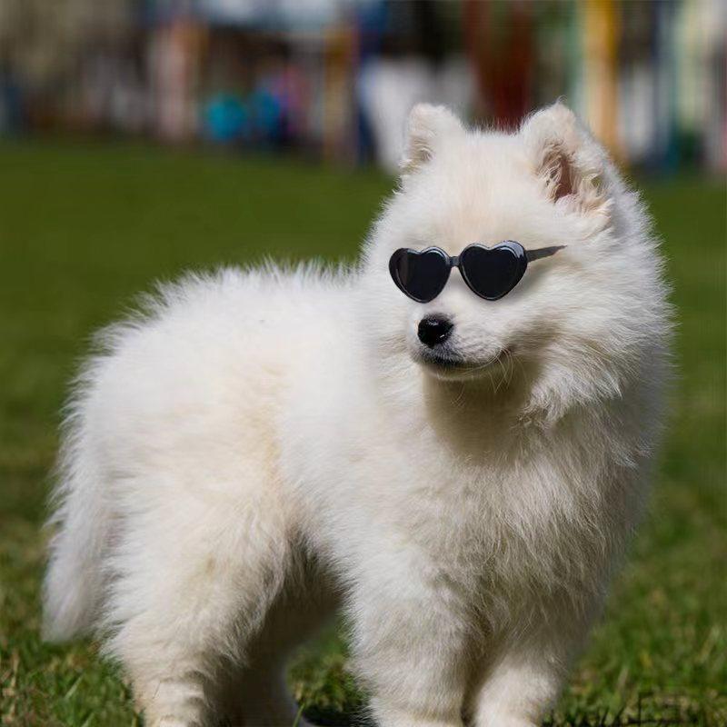 Heart Shaped Trendy Pet Sunglasses - Image 3