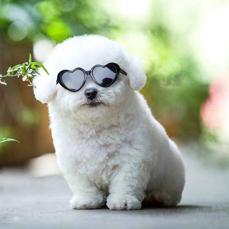 Heart Shaped Trendy Pet Sunglasses - Image 4