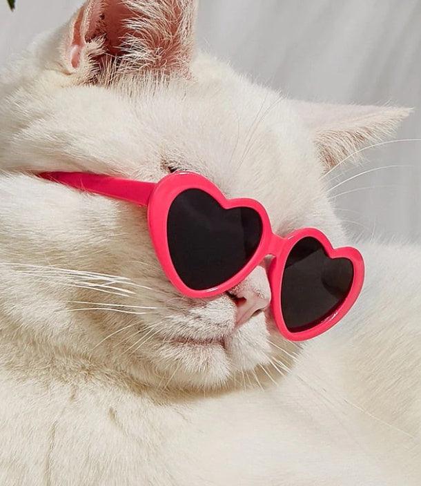 Heart Shaped Trendy Pet Sunglasses - Image 6