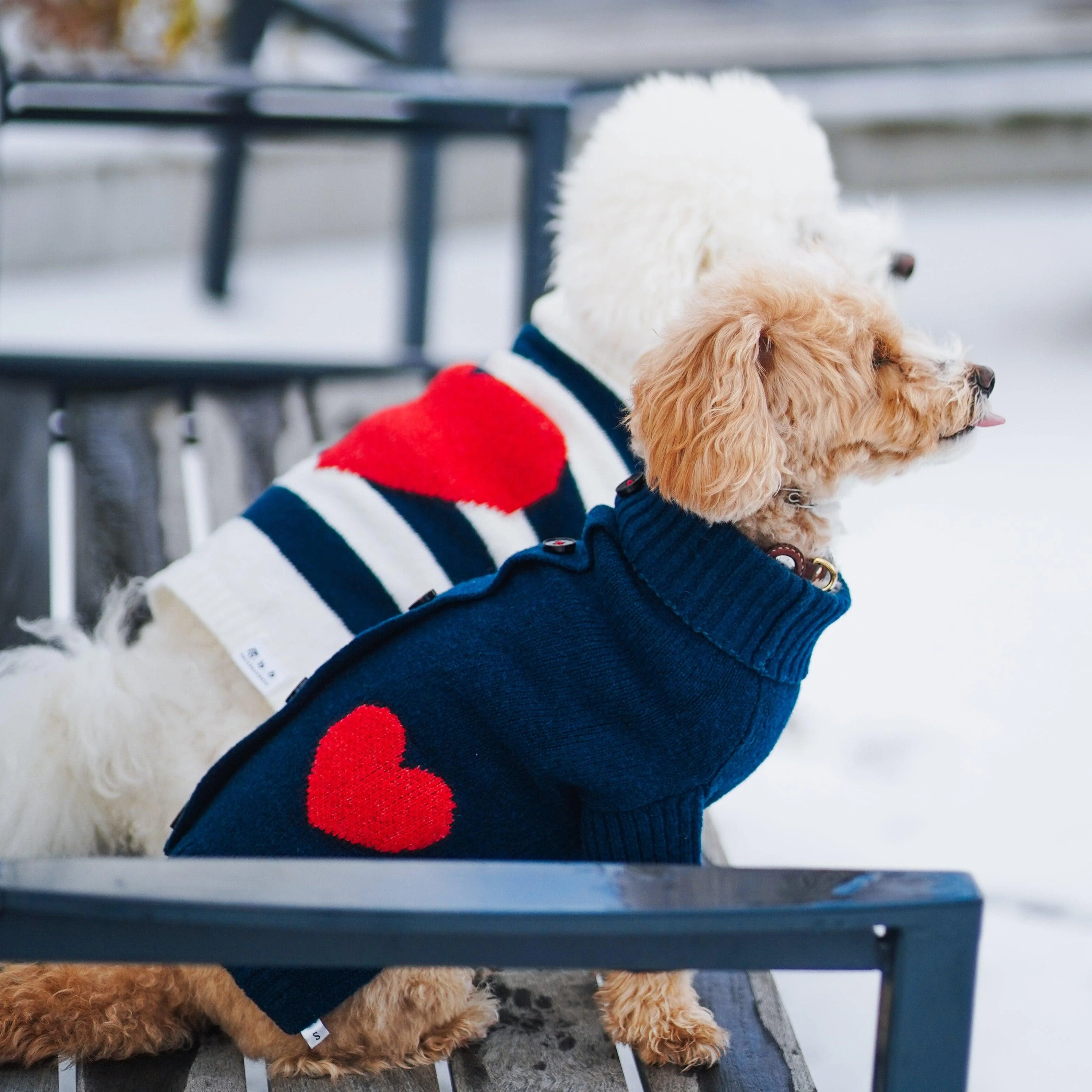 Heart to Heart Button-Up Cardigan Sweater - Image 8