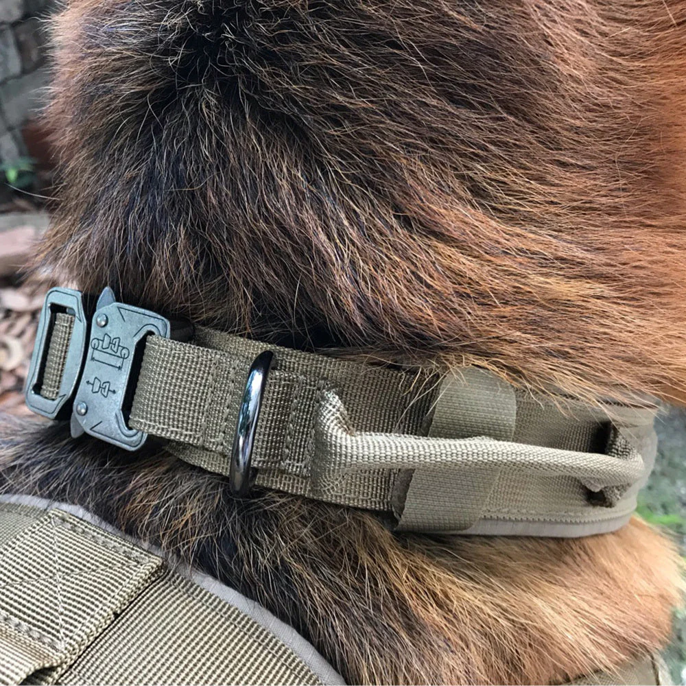 Heavy Duty Tactical Military Dog Collar - Image 3