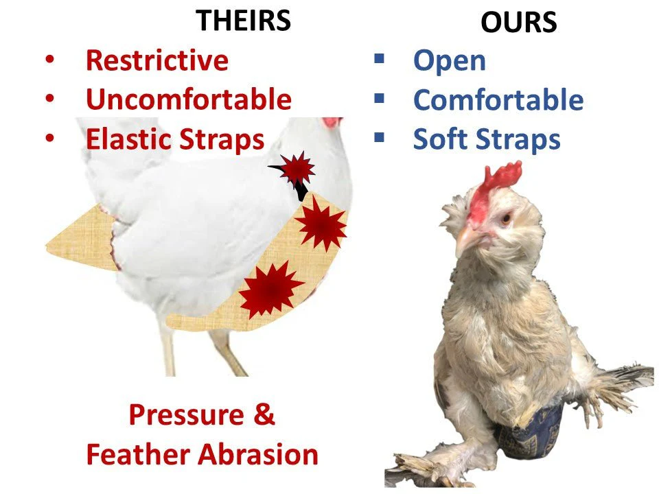 Hen Holster Chicken Diaper Harness with Permanent Sewn-in Liner (Duck Diaper, Goose Diaper, Parrot Diaper) - Image 2