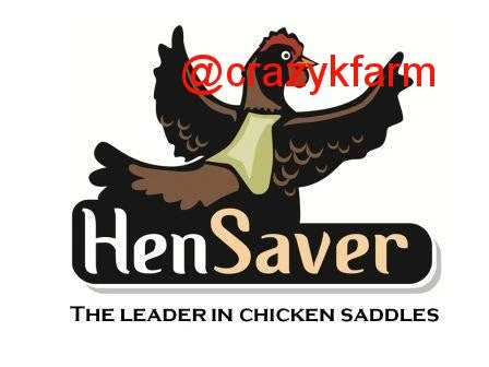 Hen Saver Chicken Saddle for Hens (Made in USA Hen Apron) - Image 2