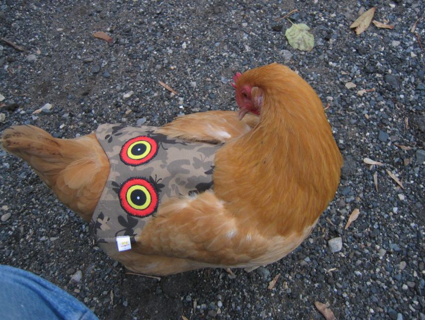 Hen Saver Chicken Saddle for Hens (Made in USA Hen Apron) - Image 6