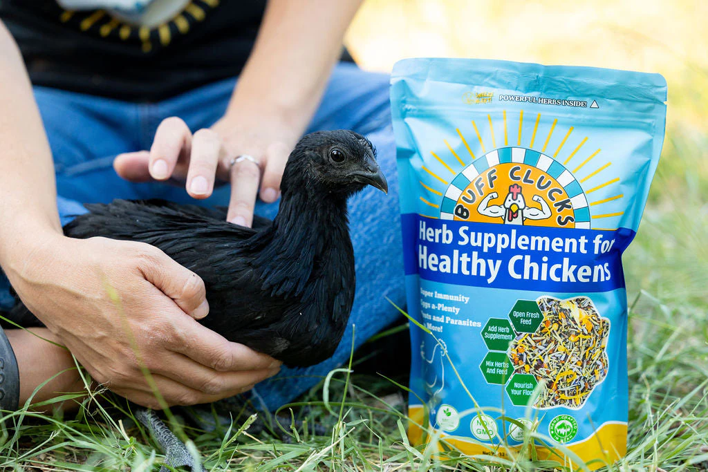 Herb Supplement For Backyard Chickens - Image 10