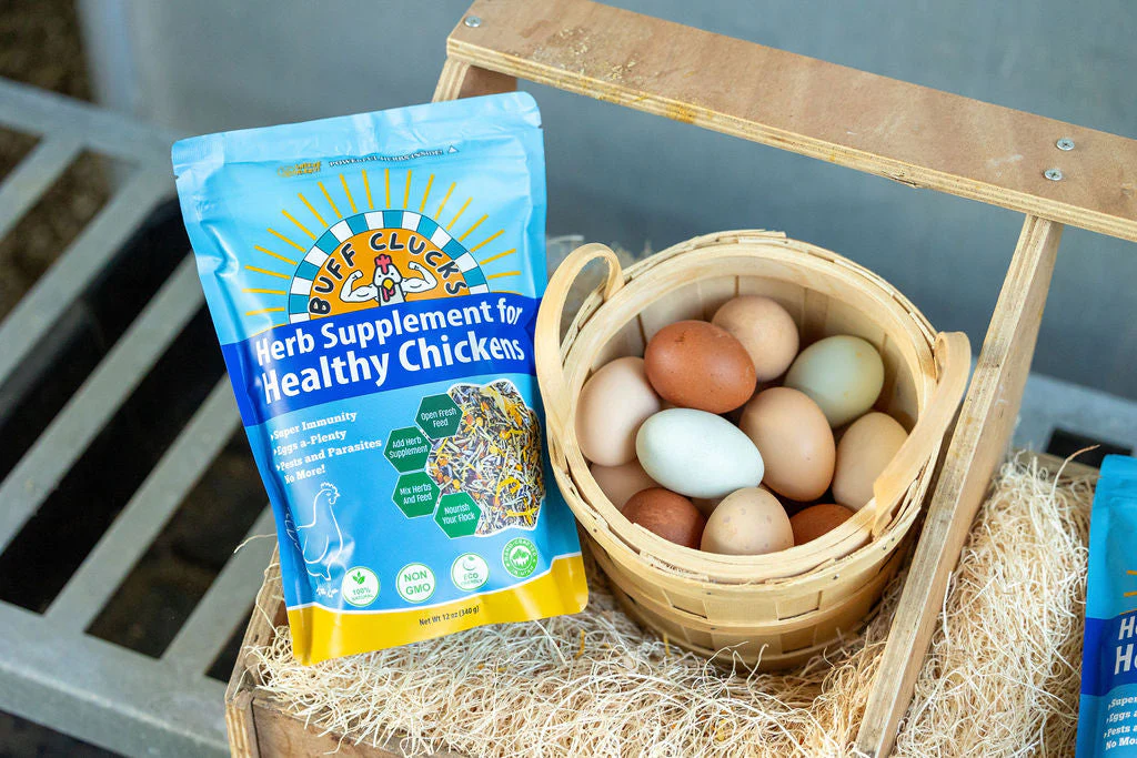 Herb Supplement For Backyard Chickens - Image 12