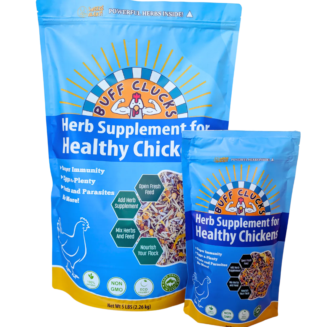 Herb Supplement For Backyard Chickens - Image 20