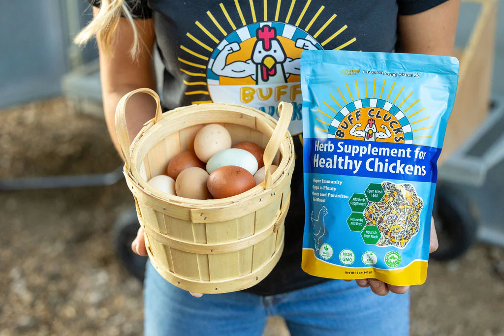 Herb Supplement For Backyard Chickens - Image 3