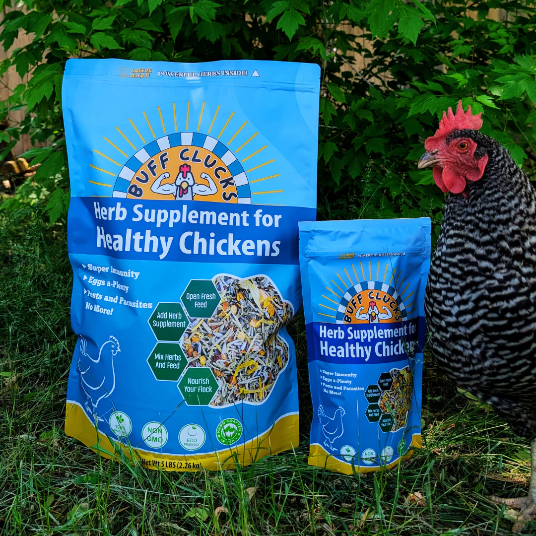 Herb Supplement For Backyard Chickens - Image 6