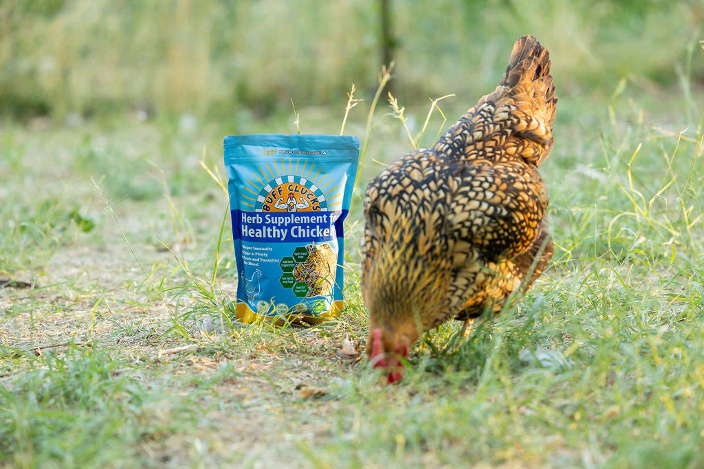 Herb Supplement For Backyard Chickens - Image 7