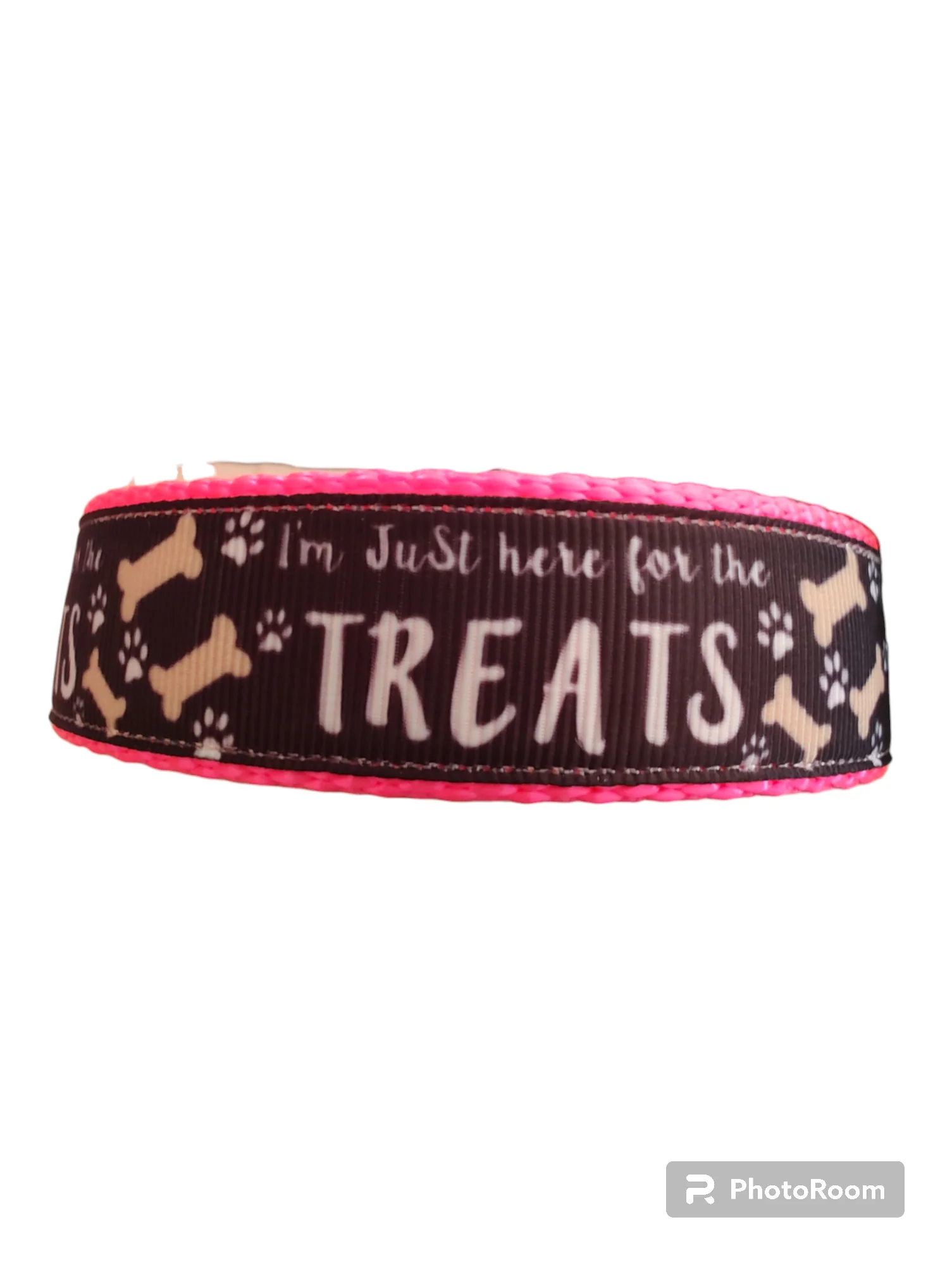 Here For The Treats Hot Pink Nylon Dog Collar MD, LG, XL, Leash - Image 3
