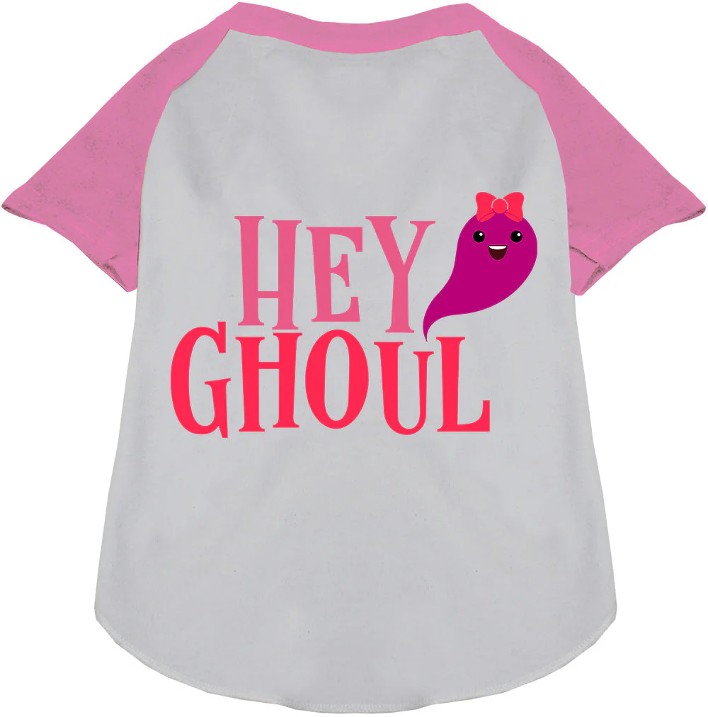 Hey Ghoul Pet Raglan Shirt - Image 3