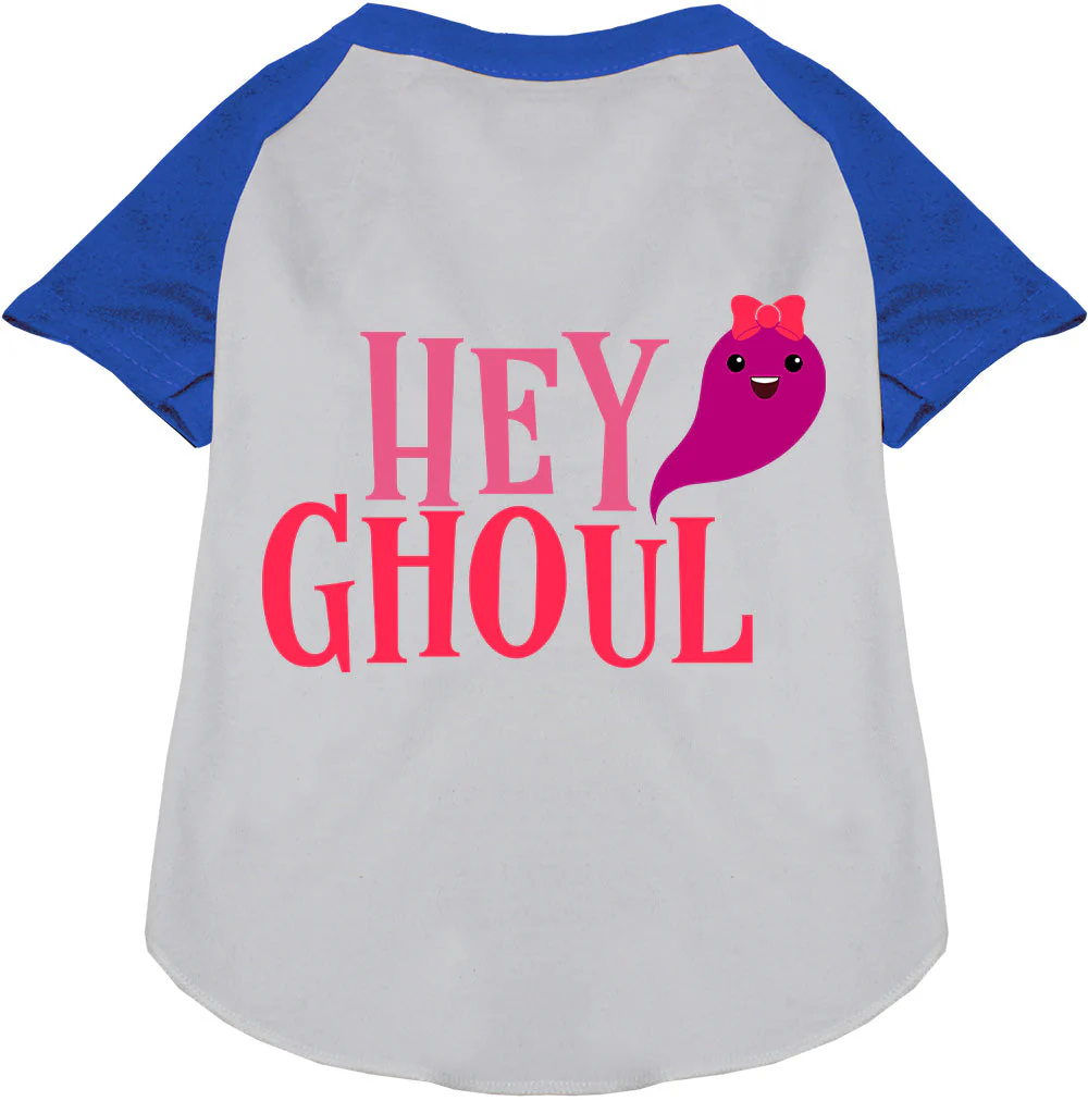 Hey Ghoul Pet Raglan Shirt - Image 4